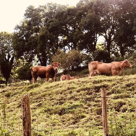 Maletas Del Pasiego בית נופש Quintana de Toranzo