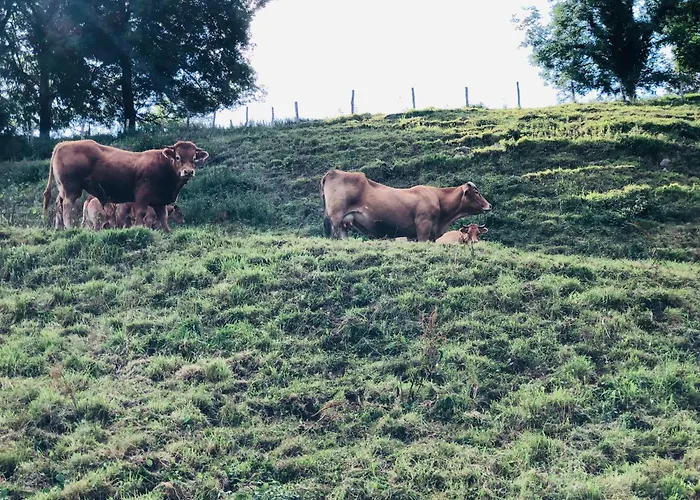 Maletas Del Pasiego Quintana de Toranzo