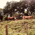 Maletas Del Pasiego Nyaraló Quintana de Toranzo
