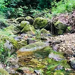 Nyaraló Maletas Del Pasiego