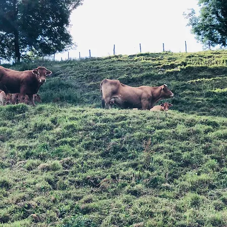 Maletas Del Pasiego Quintana de Toranzo