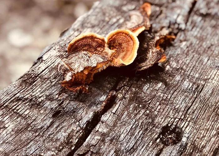 Maletas Del Pasiego Сasa de vacaciones *