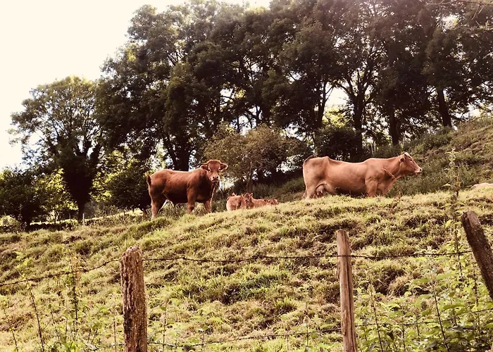 Maletas Del Pasiego بيت للعطل Quintana de Toranzo