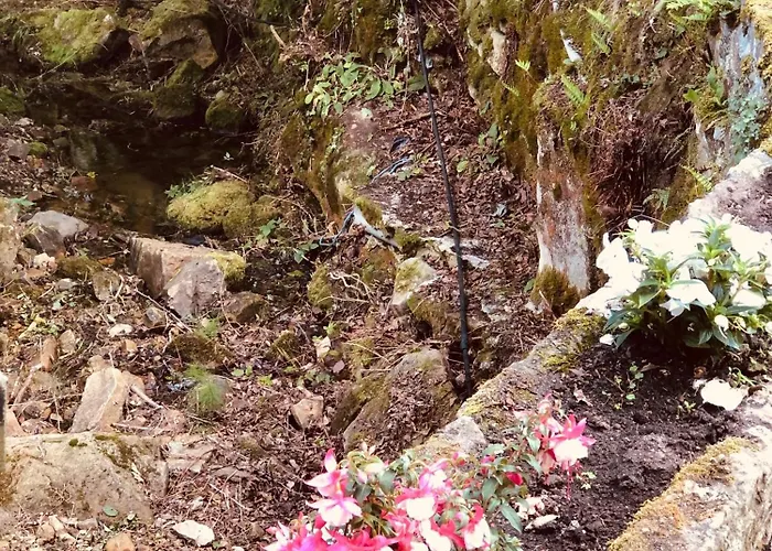 Maletas Del Pasiego بيت للعطل *